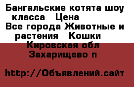 Бангальские котята шоу класса › Цена ­ 25 000 - Все города Животные и растения » Кошки   . Кировская обл.,Захарищево п.